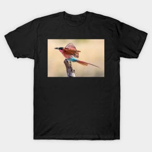 Carmine Bee-eater, Botswana T-Shirt